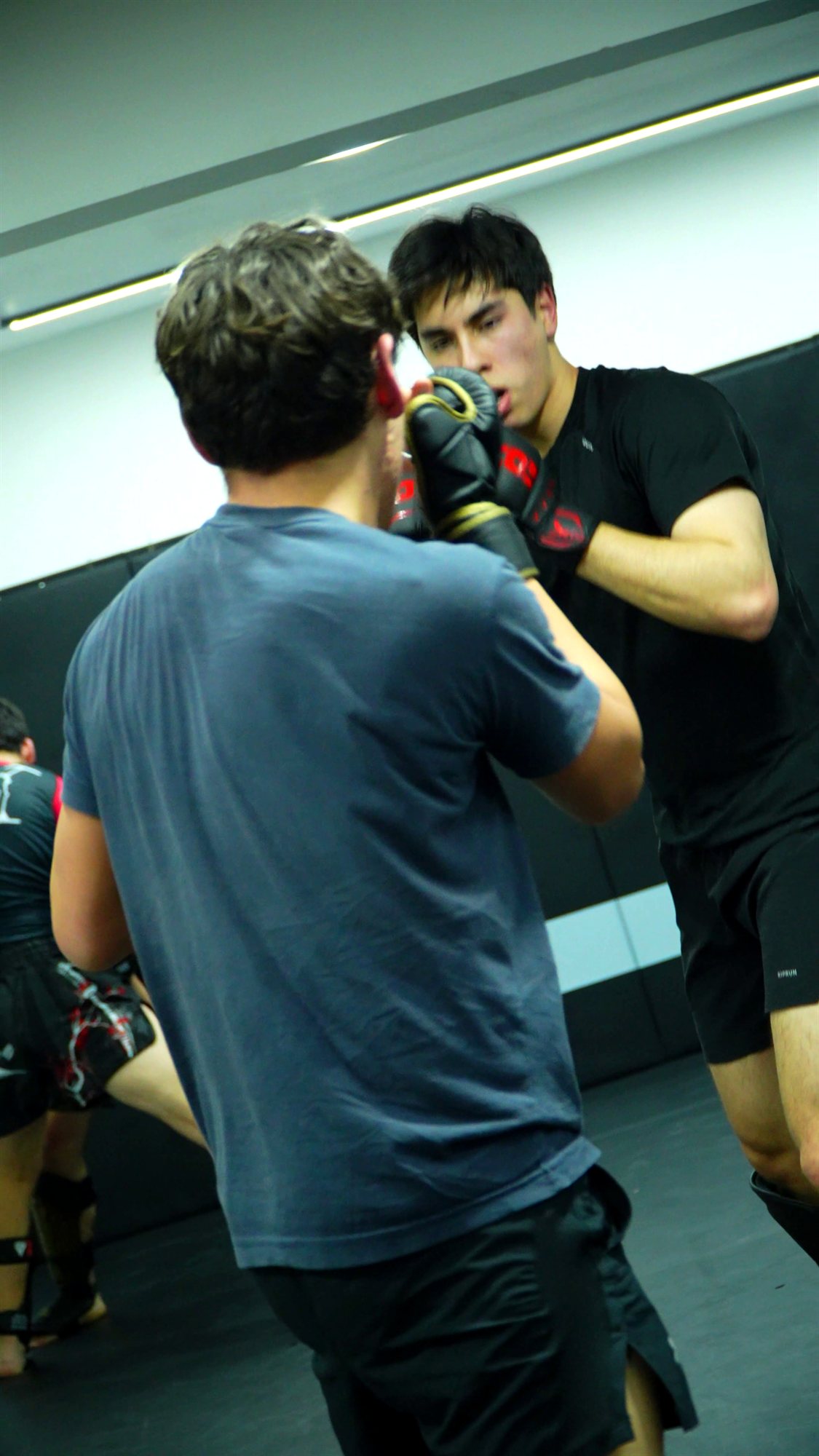 MMA en Roots: sparring con guantes