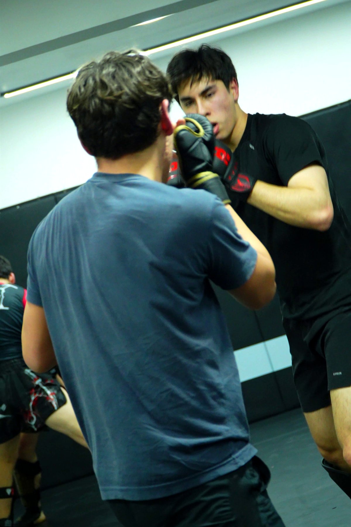 MMA en Roots: sparring con guantes